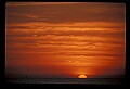 02500-00140-Florida Scenes.jpg
