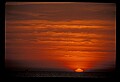02500-00141-Florida Scenes.jpg