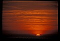 02500-00142-Florida Scenes.jpg