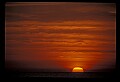 02500-00143-Florida Scenes.jpg