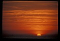 02500-00145-Florida Scenes.jpg