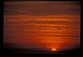 02500-00146-Florida Scenes.jpg