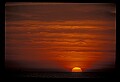 02500-00147-Florida Scenes.jpg