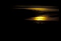 02500-00148-Florida Scenes.jpg