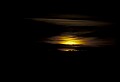 02500-00150-Florida Scenes.jpg