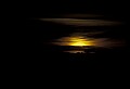 02500-00151-Florida Scenes.jpg