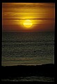 02500-00152-Florida Scenes.jpg