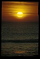 02500-00156-Florida Scenes.jpg