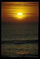 02500-00157-Florida Scenes.jpg