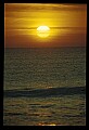 02500-00159-Florida Scenes.jpg