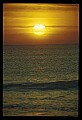 02500-00160-Florida Scenes.jpg