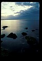 02500-00162-Florida Scenes.jpg