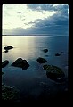 02500-00163-Florida Scenes.jpg