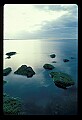 02500-00164-Florida Scenes.jpg