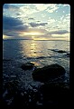 02500-00165-Florida Scenes.jpg
