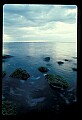 02500-00166-Florida Scenes.jpg