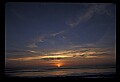02500-00176-Florida Scenes.jpg
