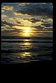 02500-00179-Florida Scenes.jpg