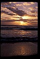 02500-00180-Florida Scenes.jpg