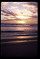 02500-00181-Florida Scenes.jpg