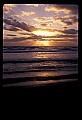 02500-00182-Florida Scenes.jpg