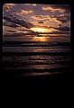 02500-00183-Florida Scenes.jpg