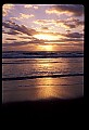 02500-00184-Florida Scenes.jpg