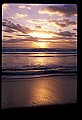 02500-00186-Florida Scenes.jpg