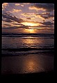 02500-00187-Florida Scenes.jpg