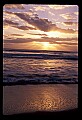 02500-00188-Florida Scenes.jpg