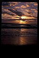 02500-00190-Florida Scenes.jpg