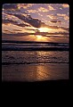 02500-00191-Florida Scenes.jpg