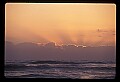 02500-00192-Florida Scenes.jpg