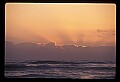 02500-00193-Florida Scenes.jpg