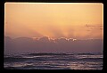 02500-00195-Florida Scenes.jpg