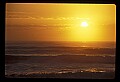 02500-00196-Florida Scenes.jpg