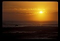 02500-00197-Florida Scenes.jpg