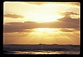 02500-00200-Florida Scenes.jpg
