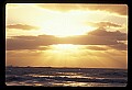 02500-00201-Florida Scenes.jpg