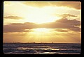 02500-00203-Florida Scenes.jpg