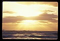 02500-00204-Florida Scenes.jpg