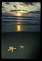 02500-00205-Florida Scenes.jpg