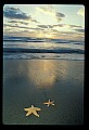 02500-00207-Florida Scenes.jpg