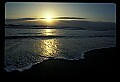 02500-00208-Florida Scenes.jpg