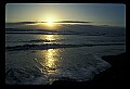 02500-00209-Florida Scenes.jpg