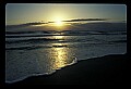 02500-00210-Florida Scenes.jpg