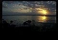02500-00211-Florida Scenes.jpg