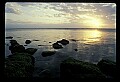 02500-00212-Florida Scenes.jpg