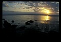 02500-00213-Florida Scenes.jpg