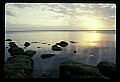02500-00214-Florida Scenes.jpg